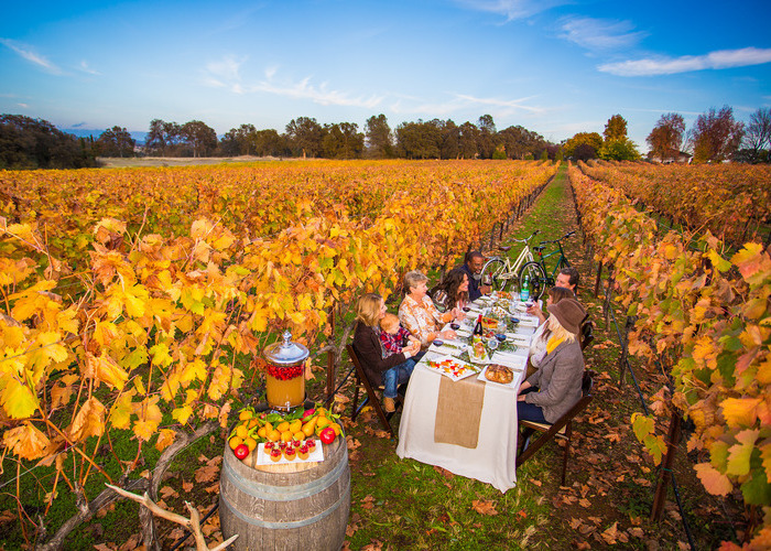 People eating in a field with fall colors