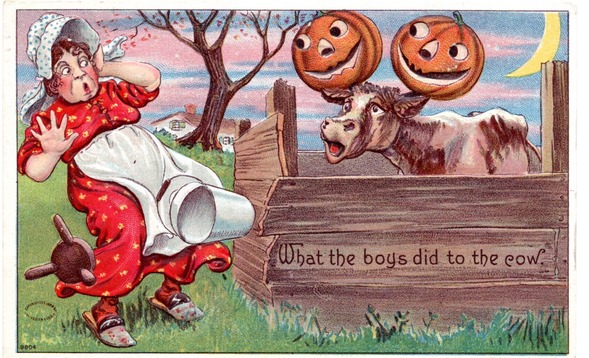 An antique illustrated greeting card with a woman startled by a cow with jack-o-lanterns impaled on its horns. 