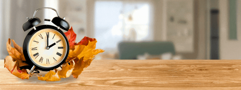 Graphic with fall leaves and a clock with text reading fall back Sunday, Nov. 3 at 2 a.m.