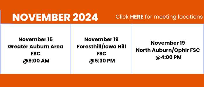 november 2024 calendar