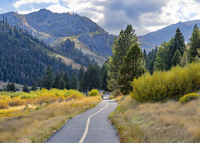 An image of a trail in Olympic Valley.