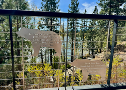 A close-up image of two engraved bear plaques on the fence at Heritage Plaza.