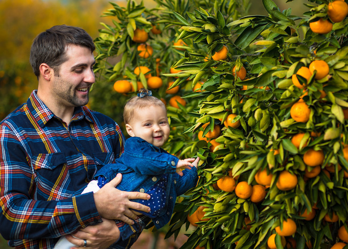 a dad holding a toddler picking mandarins