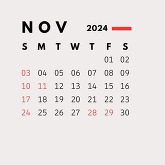 Nov 2024
