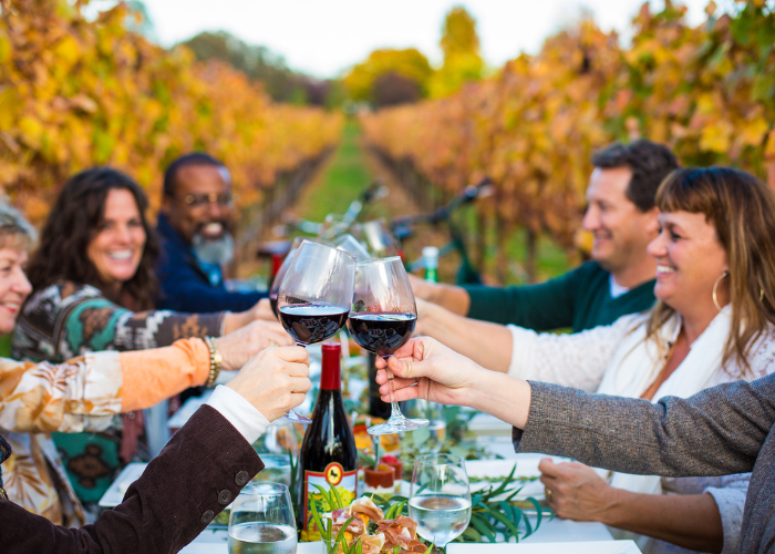 A dinner party toasts with wine glasses in a vineyard during the fall season.