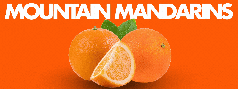 Cluster of two mandarins and one peeled. Text overlay reads Mountain Mandarins