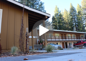 Exterior of a two-story apartment building beneath towering pines