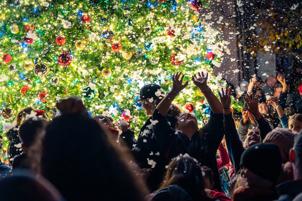 crowd of people standing around lit up Christmas tree