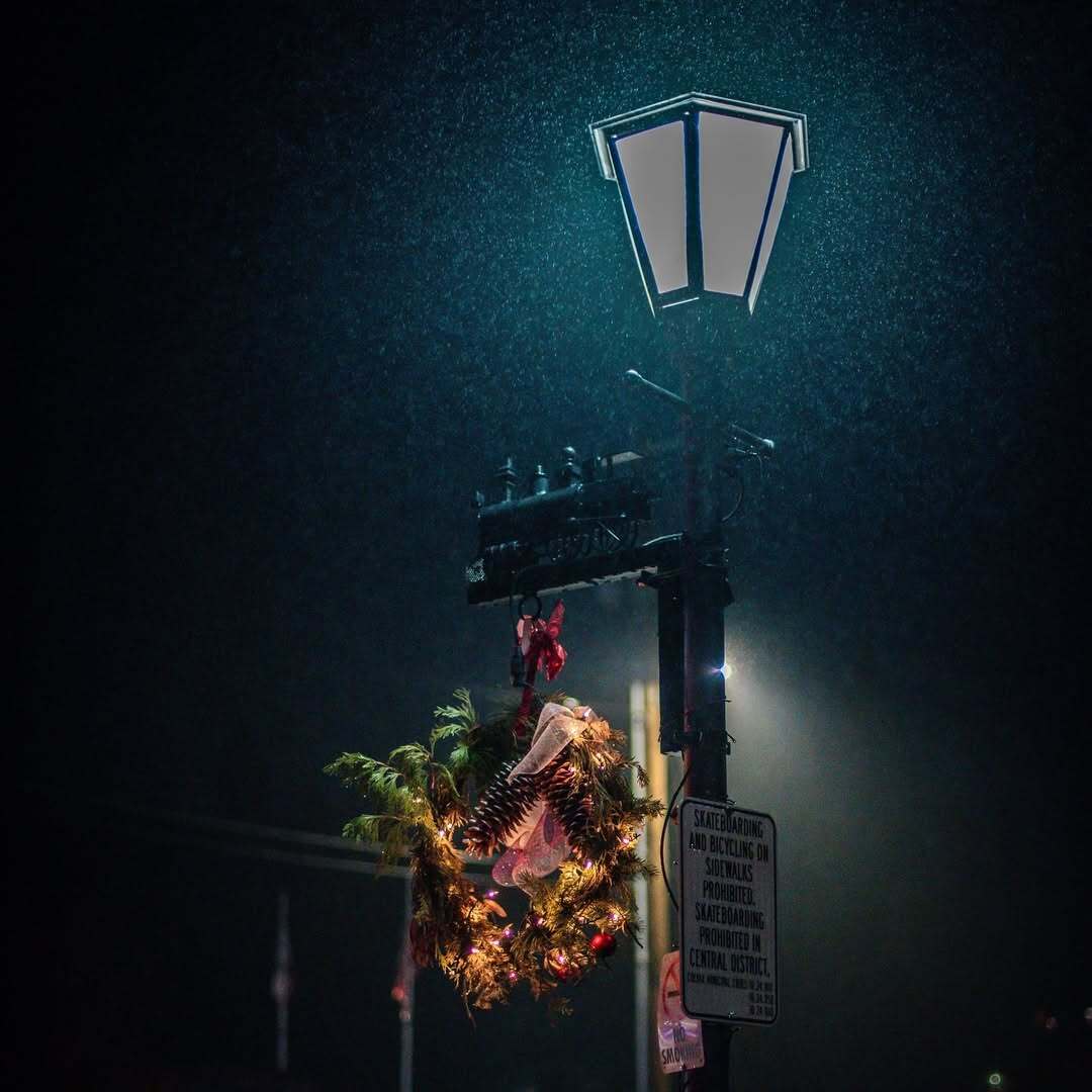Photo close up of Auburn Lamppost at night with Christmas Reef