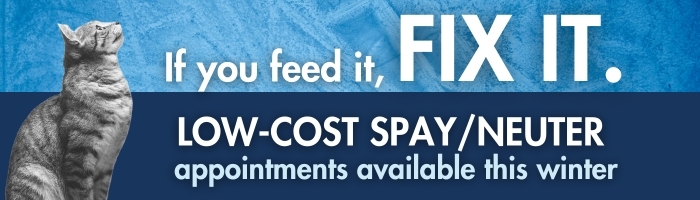 Graphic of banner with cat on left looking up, text reads "If you feed it, FIX IT. Low-cost neuter/spay appointments available this winter." 