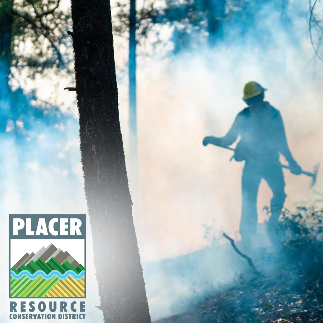 wildland firefighter