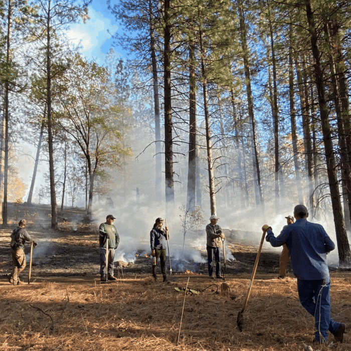 fire wise community volunteer reporting tool