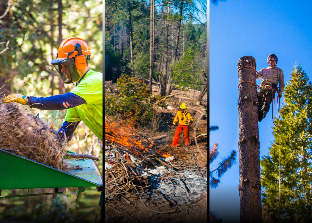 National wildfire awareness month