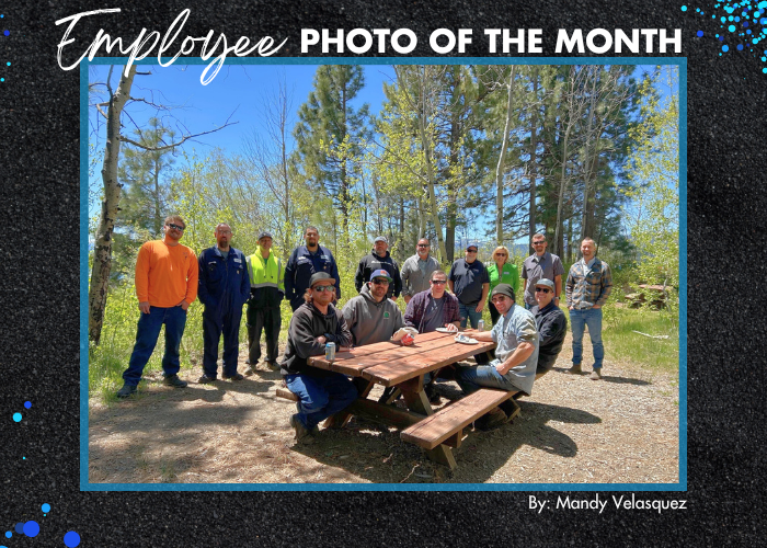The Employee Photo of the Month features the Department of Public Works team at their appreciation BBQ in Tahoe Vista.
