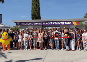 Images of people at the fair