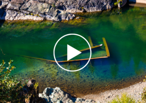 Bridge debris poking out of the American River