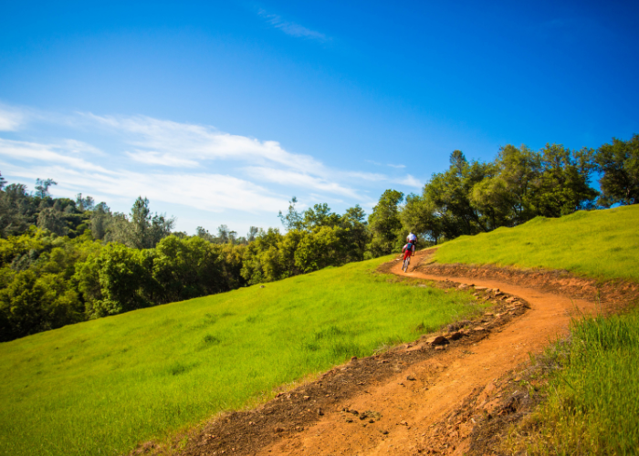 single track dirt trail in the foothills 