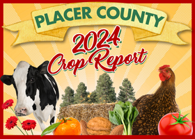Placer County Crop Report with a cow and rooster