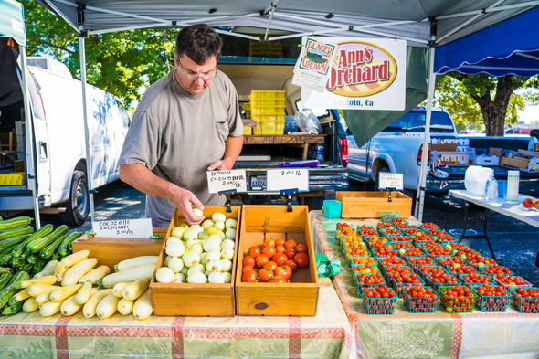 Person at a farmer's market