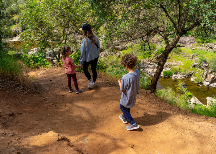 A woman in a blue hat with two kids, all facing away from the camera heading down a trail at Hidden Falls Regional Park.
