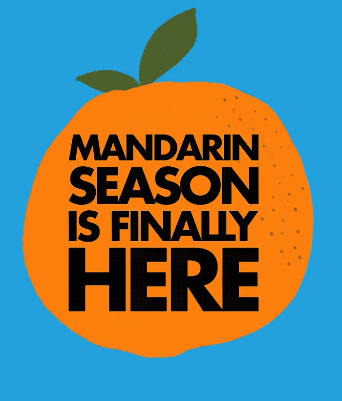 Large illustration of a mandarin with overlay text: Mandarin Season is here, taste’m, pick’em, buy’em before they are gone.