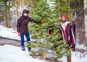 A smiling couple stands next to a small live Christmas tree