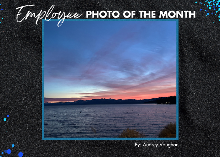 Employee Photo of The Month - an image of Lake Tahoe with a pink sunset cast behind dark mountains taken by Audrey Vaughan.