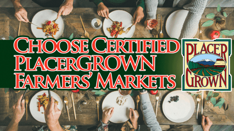 Christmas dinner table with plates and food. Text: Deck the Table with Local Flavor, Choose Certified PlacerGROWN Farmers’ Markets