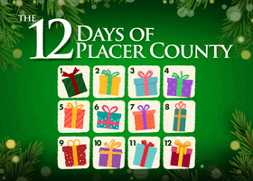 12 days of Christmas graphic