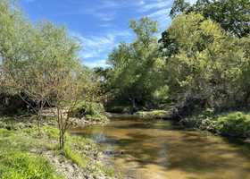 A stream on conserved land near Roseville