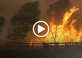 Extreme wildfire of a tree on fire. Play button in the middle of the image
