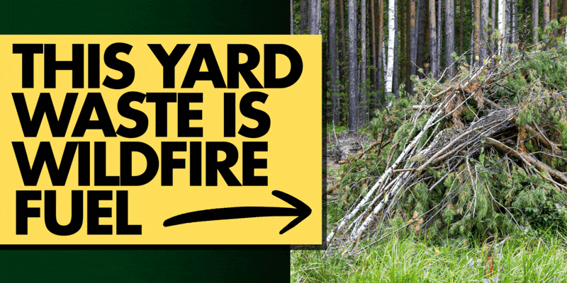 Pile of tree branches switches to two men in protective gear loading tree branches into a wood chipper.