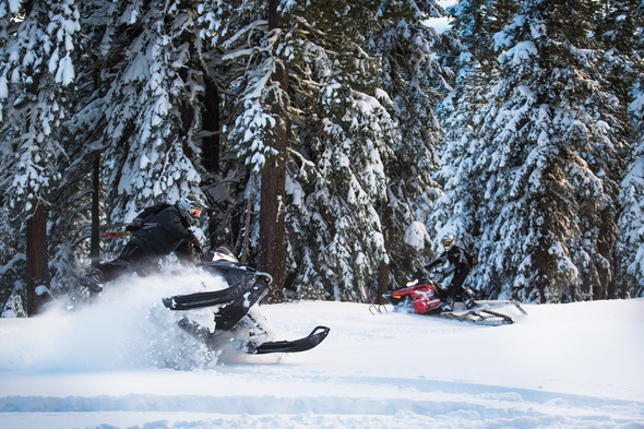 Two snow mobile riders in the middle of a snowy forest with trees