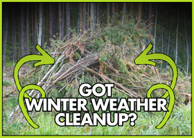 A pile of tree branches in front of a thicket of trees. Text reads, Got winter weather cleanup?