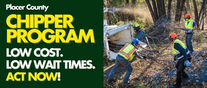 Four men in protective gear feed tree branches into a wood chipper. Text reads: Placer County Chipper Program Low Cost. Low Wait times. Act now. 