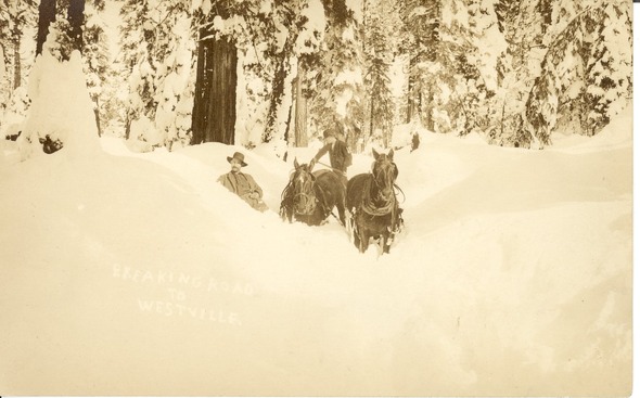 A team of horses stands on a trail covered by deep snow. 