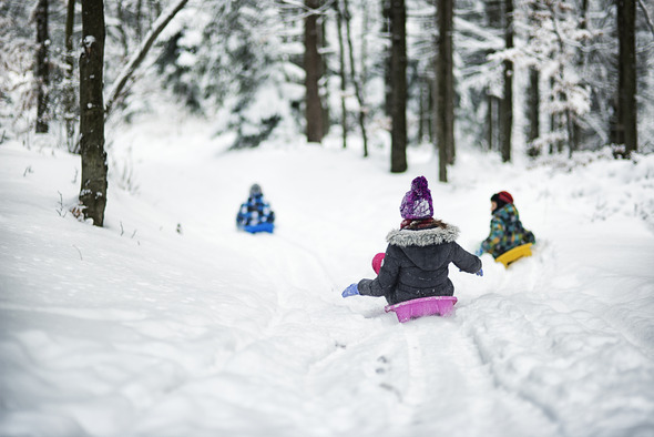 3 kids sledding down a snowy path surrounded by trees
