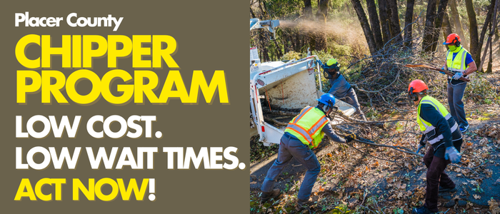 4 men in protective gear feed tree branches into a wood chipper. Text: Player County Chipper Program, low cost, low wait times, act now.