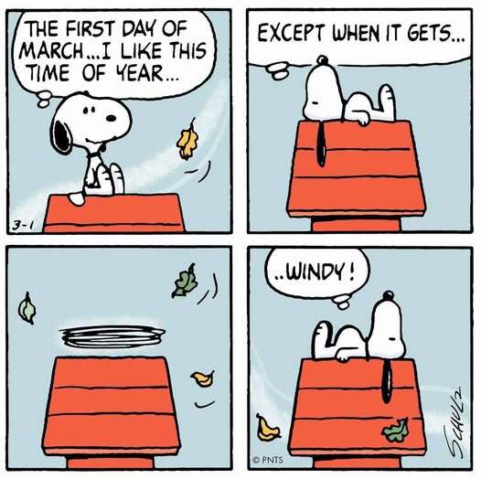 Peanuts comic