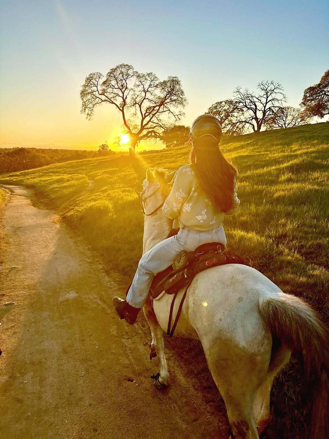 Picture of a girl on a white horse with the sunset in the background