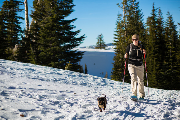 Daschund dog and a woman hiker walking on a snowy mountain peak