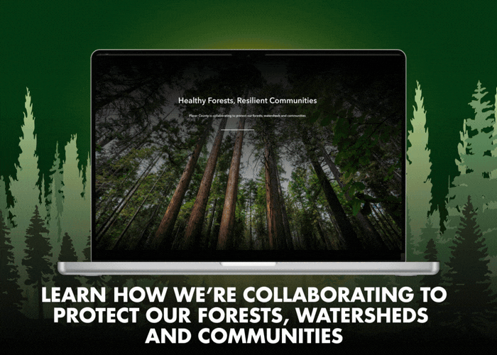 A laptop w images from the Regional Forest Health story map. Says: Learn how we’re collaborating to protect our forests, watersheds and communities