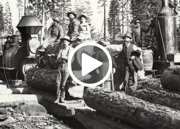 A group of men and women gather around large timber logs in front of a steam engine trail.