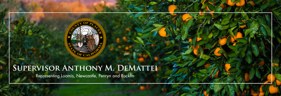 Text reads Supervisor Anthony M. DeMattei with Placer County seal over mandarin orchard