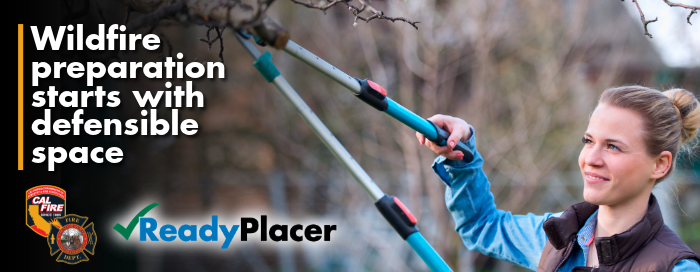 Woman trims tree with loppers to build defensible space around the home from wildfire