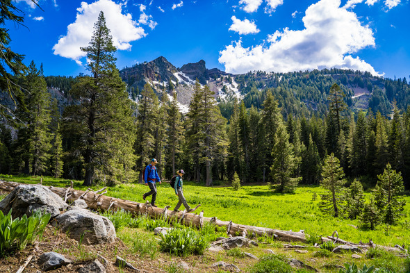 Two backpackers balancing on a log with green field and mountain on the background