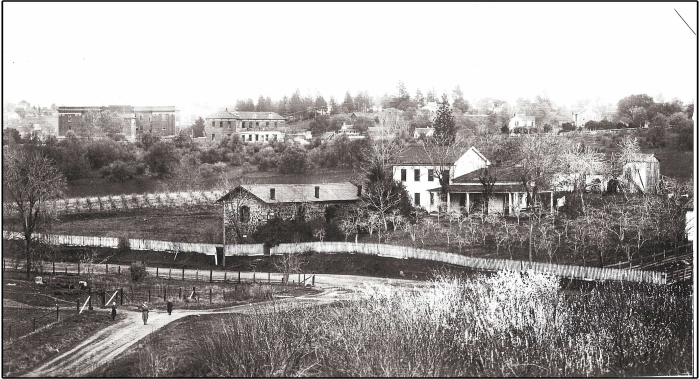 Landscape image of two structures, one wooden, one brick, in the middle of an orchard