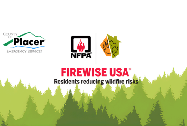 graphic of trees and placer county logo