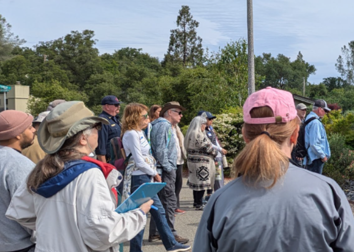 people stand together in a neighborhood