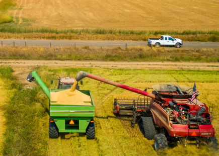 Red combine harvester unloading harvested grain into a green trailer in a golden wheat field with a white pickup truck on a distant road.